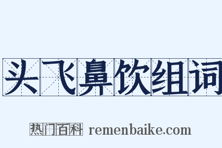 头飞鼻饮组词是什么意思的图片